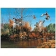 Maass WildfowlÖ Executive Calendar