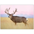 Wildlife Appointment Calendar
