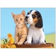 Four Paws Appointment Calendar