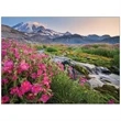 Scenic America Executive-White Ad Calendar