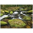 Scenic America Executive-White Ad Calendar