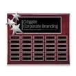 Constellation Perpetual - Rosewood Chrome