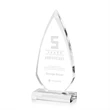 Vanderbilt Award