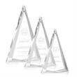 Shrewsbury Award