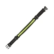 Sprinter Running Belt