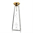 Alicia Gemstone Award - Amber