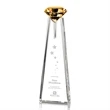 Alicia Gemstone Award - Amber