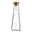 Alicia Gemstone Award - Amber
