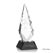 Vector Award