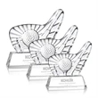 Dougherty Golf Award - Optical