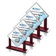 Carradine VividPrint™ Award