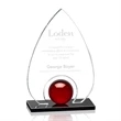 Dangerfield Award - Starfire