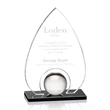 Dangerfield Award - Starfire