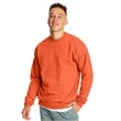 Hanes Ecosmart® Crewneck Sweatshirt