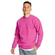 Hanes Ecosmart® Crewneck Sweatshirt