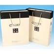 Paper Bag  Large