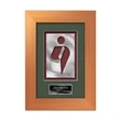 Premier Aquashape™ Award - Bronze