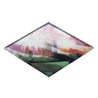 Spectra Coaster