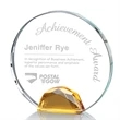 Maplin Award - Amber