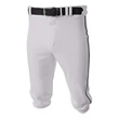 Youth Baseball Knicker Pant