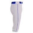 Youth Baseball Knicker Pant
