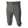 Youth Baseball Knicker Pant