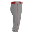 Youth Baseball Knicker Pant
