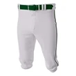 Youth Baseball Knicker Pant