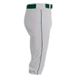 Youth Baseball Knicker Pant