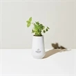 Modern Sprout Tapered Tumbler Grow Kit