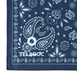 Slowtide Quick-Dry Towel