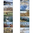 Wildlife Art