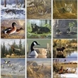 Wildlife Art by the Hautman Brothers