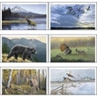 Wildlife Art