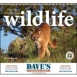 North American Wildlife