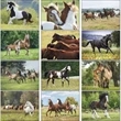 Horses