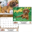 Puppies