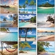 Beaches