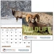 Wildlife Portraits - Spiral