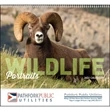 Wildlife Portraits - Spiral