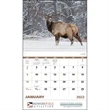Wildlife Portraits - Spiral