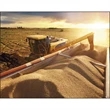 Agriculture - Stapled