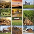 Agriculture - Stapled