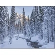 Scenic Canada - Window