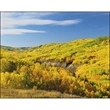 Scenic Canada - Window