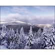 Scenic Canada - Window