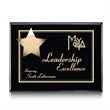 Hollister Plaque - Black/Gold