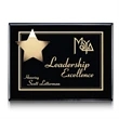 Hollister Plaque - Black/Gold
