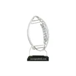 Football Champions Award on a Black Base