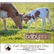 Baby Farm Animals - Spiral